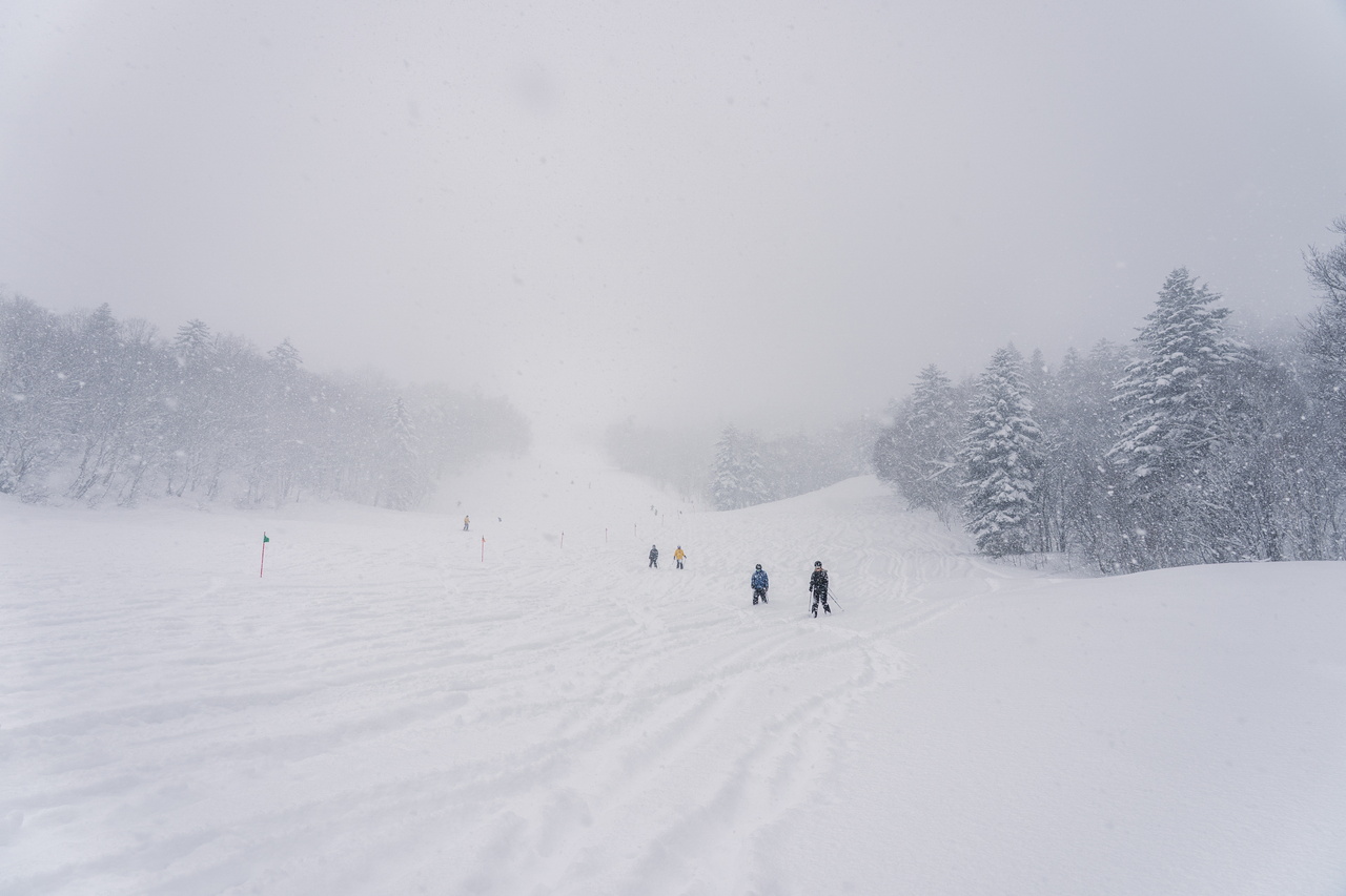 富良野スキー場｜数字以上に良い雪たっぷり！いよいよ『bonchi powder』本領発揮の季節到来です！